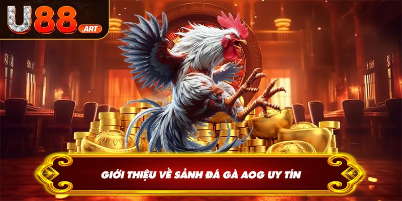 Giới thiệu về sảnh đá gà AOG uy tín