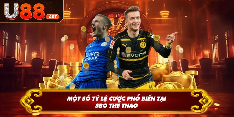 Một số tỷ lệ cược phổ biến tại SBO thể thao